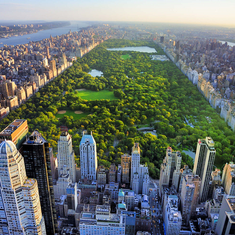 Luftaufnahme des Central Park, Manhattan, New York 1000 Puzzle 3D Modell