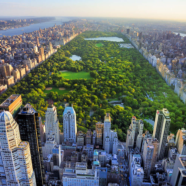 Luftaufnahme des Central Park, Manhattan, New York 100 Puzzle 3D Modell