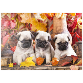 Darstellung des Puzzle-Motivs Mops-Welpen – Puzzleteile: 1000
