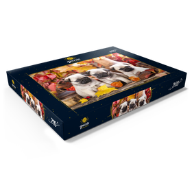 Darstellung des Puzzle Motivs Mops-Welpen - Puzzleteile: 200
