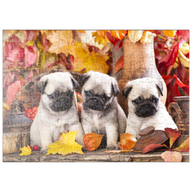 Darstellung des Puzzle Motivs Mops-Welpen - Puzzleteile: 200