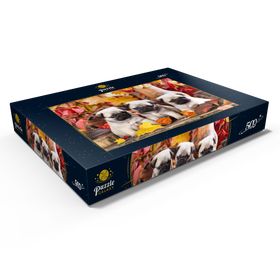 Darstellung des Puzzle Motivs Mops-Welpen - Puzzleteile: 500