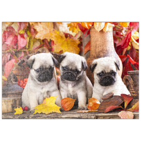 Darstellung des Puzzle Motivs Mops-Welpen - Puzzleteile: 500