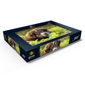 Alternative Darstellung des Puzzle-Motivs Ein Hund im Gras – Puzzleteile: 1000