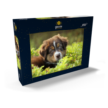 Ein Hund im Gras 1000 Puzzle Schachtel Ansicht2