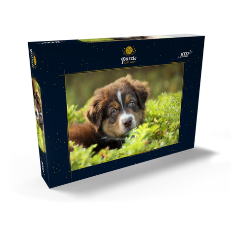 Ein Hund im Gras 1000 Puzzle Schachtel Ansicht2