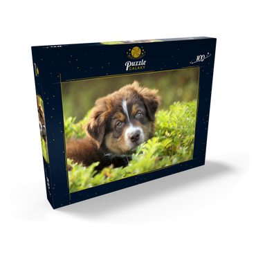 Ein Hund im Gras 100 Puzzle Schachtel Ansicht2