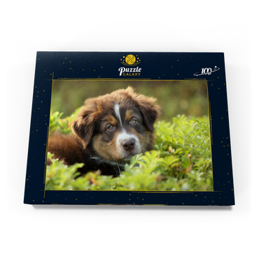 Ein Hund im Gras 100 Puzzle Schachtel Ansicht3