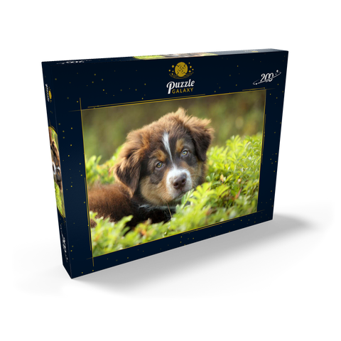 Ein Hund im Gras 200 Puzzle Schachtel Ansicht2