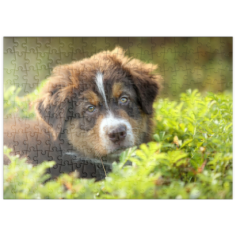 puzzleplate Ein Hund im Gras 200 Puzzle