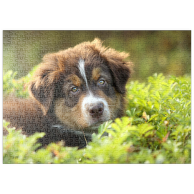 Darstellung des Puzzle-Motivs Ein Hund im Gras – Puzzleteile: 500