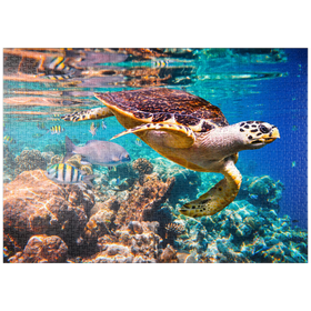 Darstellung des Puzzle-Motivs Hawksbill Turtle, Karettschildkröte, Malediven – Puzzleteile: 1000