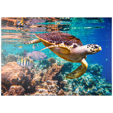 puzzleplate Hawksbill Turtle, Karettschildkröte, Malediven 1000 Puzzle