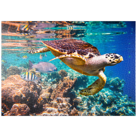 puzzleplate Hawksbill Turtle, Karettschildkröte, Malediven 1000 Puzzle