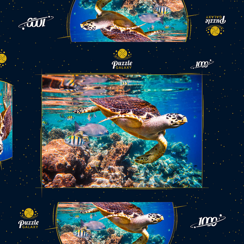Hawksbill Turtle, Karettschildkröte, Malediven 1000 Puzzle Schachtel 3D Modell