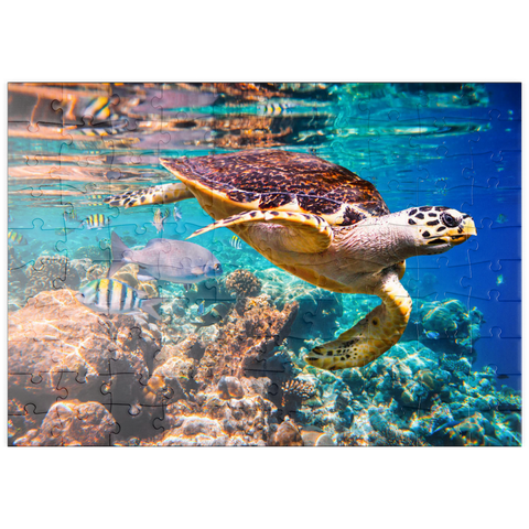 puzzleplate Hawksbill Turtle, Karettschildkröte, Malediven 100 Puzzle