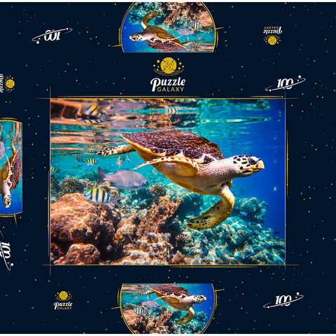 Hawksbill Turtle, Karettschildkröte, Malediven 100 Puzzle Schachtel 3D Modell