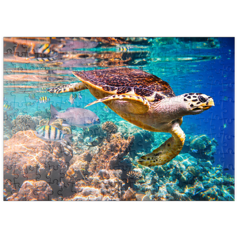 puzzleplate Hawksbill Turtle, Karettschildkröte, Malediven 200 Puzzle