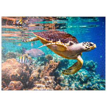 puzzleplate Hawksbill Turtle, Karettschildkröte, Malediven 500 Puzzle