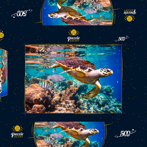 Hawksbill Turtle, Karettschildkröte, Malediven 500 Puzzle Schachtel 3D Modell