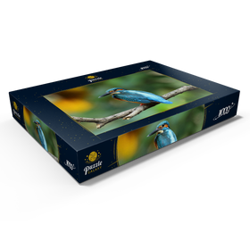 Darstellung des Puzzle Motivs Eisvogel - Puzzleteile: 1000