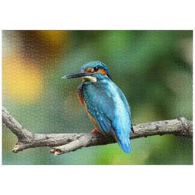 Darstellung des Puzzle-Motivs Eisvogel – Puzzleteile: 1000