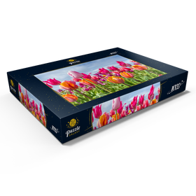 Alternative Darstellung des Puzzle-Motivs Orange- gelbes Tulpenfeld – Puzzleteile: 1000