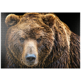 Darstellung des Puzzle-Motivs Braunbär (Ursus arctos beringianus) – Puzzleteile: 1000