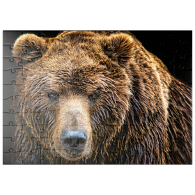 Darstellung des Puzzle Motivs Braunbär (Ursus arctos beringianus) - Puzzleteile: 100