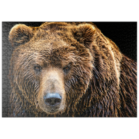Darstellung des Puzzle-Motivs Braunbär (Ursus arctos beringianus) – Puzzleteile: 500