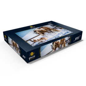 Darstellung des Puzzle Motivs American Paint Horse auf Schnee - Puzzleteile: 1000