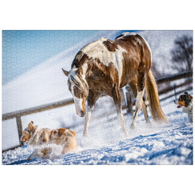 Darstellung des Puzzle-Motivs American Paint Horse auf Schnee – Puzzleteile: 1000