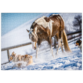 Darstellung des Puzzle-Motivs American Paint Horse auf Schnee – Puzzleteile: 500