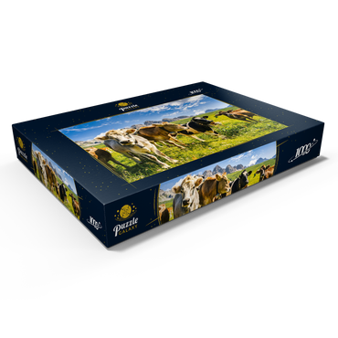 Kühe vor einer Idyllischen Alpen-Landschaft 1000 Puzzle Schachtel Ansicht1