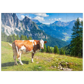 Darstellung des Puzzle Motivs Kuh grast auf einer Alpenwiese in den Dolomiten - Puzzleteile: 100