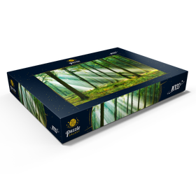 Darstellung des Puzzle Motivs Schöner Morgen im Wald - Puzzleteile: 1000