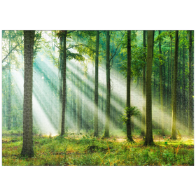 Darstellung des Puzzle-Motivs Schöner Morgen im Wald – Puzzleteile: 1000