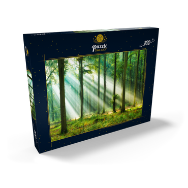 Schöner Morgen im Wald 100 Puzzle Schachtel Ansicht2
