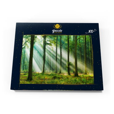 Schöner Morgen im Wald 100 Puzzle Schachtel Ansicht3