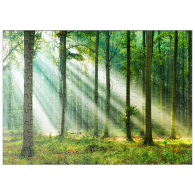 Darstellung des Puzzle-Motivs Schöner Morgen im Wald – Puzzleteile: 200