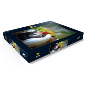 Darstellung des Puzzle Motivs Papageientaucher auf einem Felsen, Westisländischer Fjord - Puzzleteile: 100