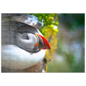 Darstellung des Puzzle Motivs Papageientaucher auf einem Felsen, Westisländischer Fjord - Puzzleteile: 100
