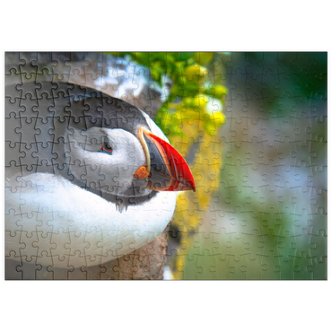 puzzleplate Papageientaucher auf einem Felsen, Westisländischer Fjord 200 Puzzle