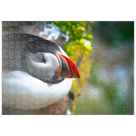Darstellung des Puzzle Motivs Papageientaucher auf einem Felsen, Westisländischer Fjord - Puzzleteile: 200
