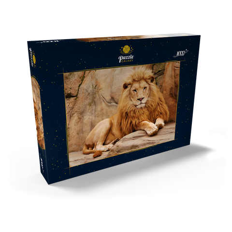 Ein Löwe entspannt auf einem Stein 1000 Puzzle Schachtel Ansicht2