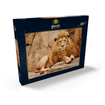 Ein Löwe entspannt auf einem Stein 100 Puzzle Schachtel Ansicht2