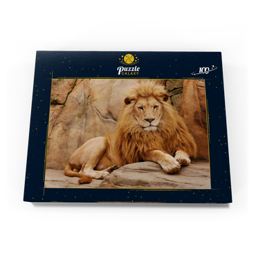 Ein Löwe entspannt auf einem Stein 100 Puzzle Schachtel Ansicht3