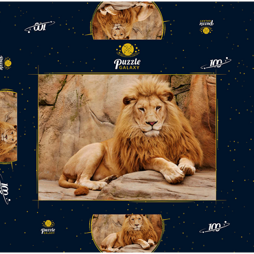 Ein Löwe entspannt auf einem Stein 100 Puzzle Schachtel 3D Modell