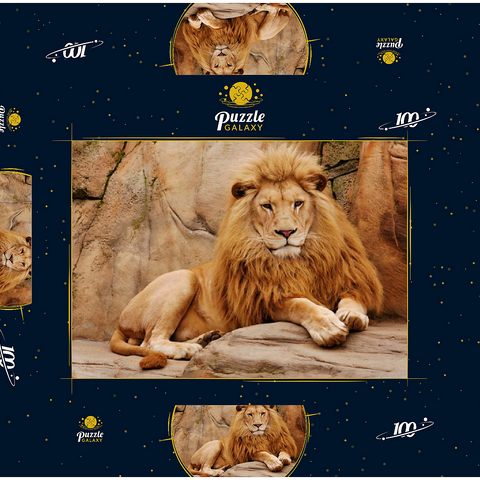 Ein Löwe entspannt auf einem Stein 100 Puzzle Schachtel 3D Modell