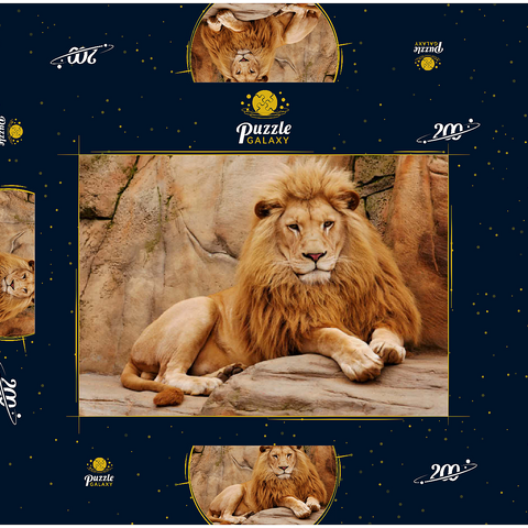 Ein Löwe entspannt auf einem Stein 200 Puzzle Schachtel 3D Modell
